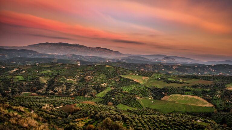 Sunset & Traditions Experience – A Journey into Cretan Culture