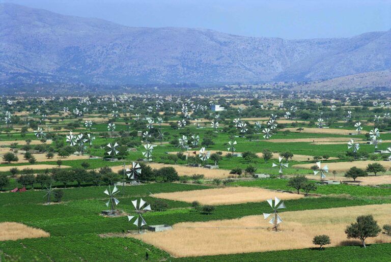 Heraklion: Private Tour of Cretan Life | Kera Monastery, Lasithi Plateau, Zeus Cave, Krasi Village & Oldest Tree on the Island (718135)