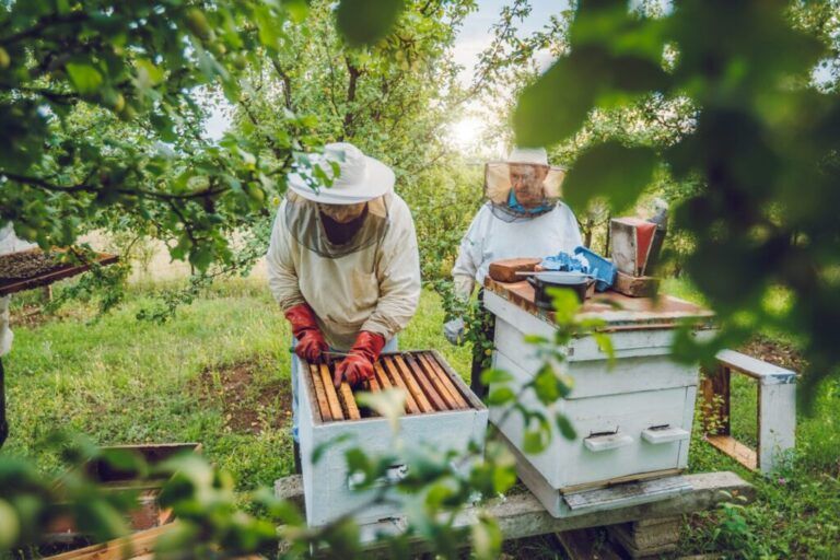 Private Tour | Cretan Outback’s | Melidoni Cave | Wild life | Honey & Olive Oil (857530)