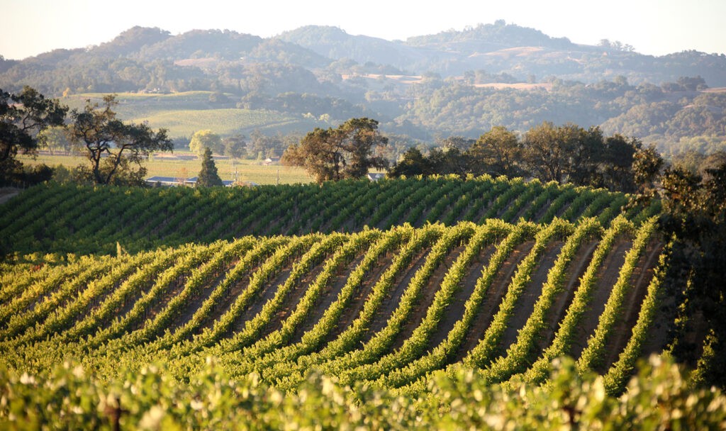 single winery tours