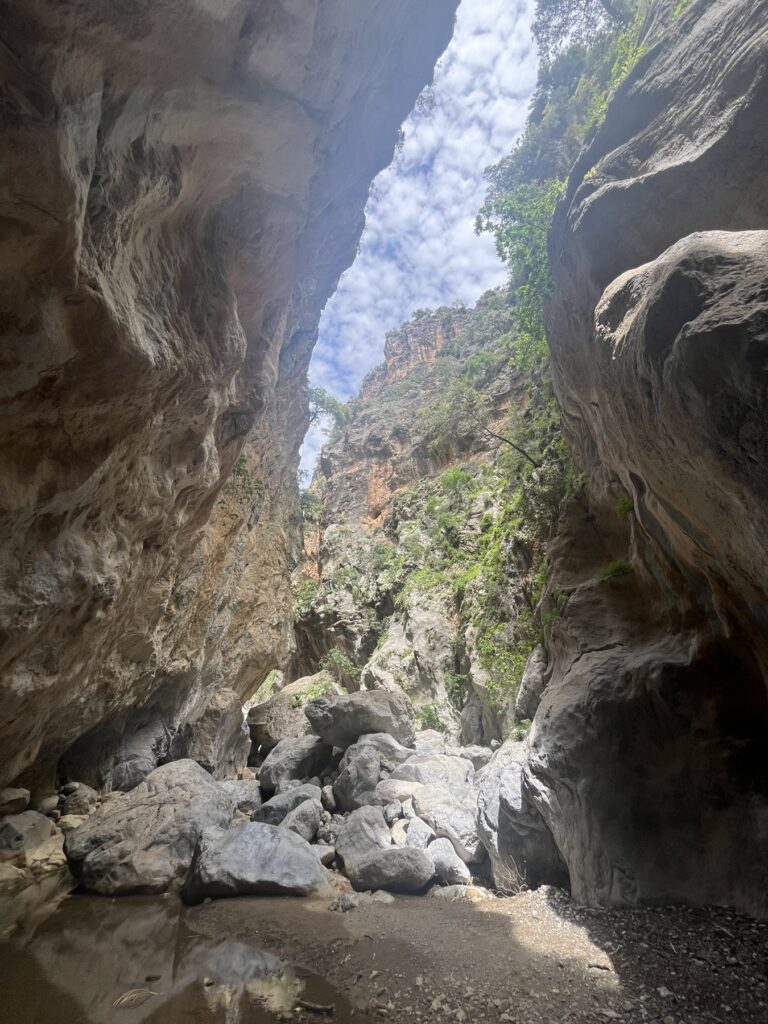 “Echoes of Eastern Crete: Gorges, Villages & Forest Trails”